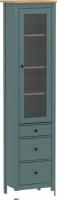 Шкаф-витрина Mio Tesoro Сага 50 2.08.07.120.16 (темно-бирюзовый/ясень)