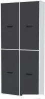 Шкаф распашной Интерлиния Skill-20 (4) (антрацит/белый)