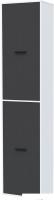Шкаф распашной Интерлиния Skill-21 (2) (белый/антрацит)