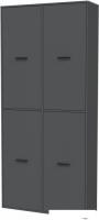 Шкаф распашной Интерлиния Skill-20 (4) (антрацит/антрацит)