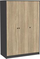 Шкаф распашной Mio Tesoro Мини 3 двери 2.07.01.040.12 (черный/сонома)