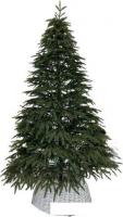 Ель Смерека-Плюс Сказка СМ-23СК 2.3 м