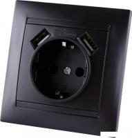 Розетка TDM Electric Лама SQ1815-0642 (графит)