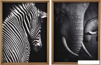 Модульная картина Вещицы Сафари Sof-12 (2шт, черный)