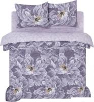 Постельное белье АртПостель Шанс 908