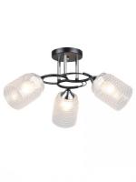 Припотолочная люстра Aitin Pro НПБ 02-3x60-101 K2246/3 (черный/хром)