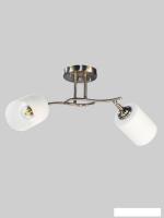 Спот Aitin Pro НПБ 02-2x60-101 N6410/2 (титан)