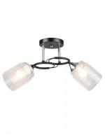 Припотолочная люстра Aitin Pro НПБ 02-2x60-101 K2246/2 (черный/хром)