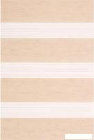 Шторы день-ночь Lm Decor Грация ДН LB 10-10 110x160