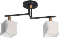 Люстра средней высоты Aitin Pro N4609/2