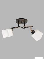 Спот Aitin Pro НПБ 02-2x60-101 1338/2 (черный/золото)