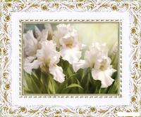 Картина Декарт Белые ирисы 1 8Л0741 (в раме)