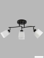 Спот Aitin Pro НПБ 02-3x60-101 1338/3 (черный/золото)