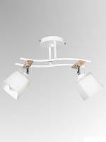 Спот Aitin Pro НПБ 02-2x60-101 XA1586/2 (белый/хром)