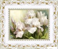 Картина Декарт Белые Ирисы 2 8Л0742 (в раме)