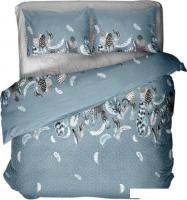 Постельное белье Блакiт Феникс 1.5сп 70х70 41241/0 658401/457985 К