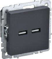 Розетка USB IEK Brite BR-U21-D31-K53