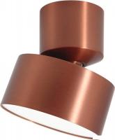 Спот TruEnergy 11513