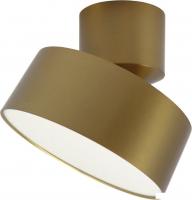 Спот TruEnergy 11517