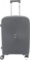 Чемодан-спиннер Francesco Molinary 344-168/2-24DGR (серый)