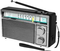 Радиоприемник Ritmix RPR-131