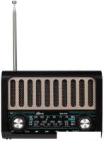 Радиоприемник Ritmix RPR-020