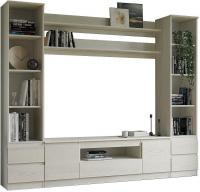 Стенка Евва Турин №2 (ясень снежный)