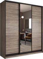 Шкаф-купе Евва 203 TTG.12 АЭП ШК.3.02 (дуб трюфель/венге глянец)