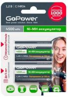 Аккумулятор GoPower 00-00018322