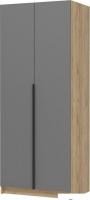 Шкаф распашной Стендмебель Лион ШК-01 2-х створчатый (графит серый/дуб крафт золото)