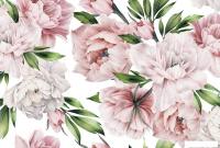 Фотообои Vimala Настенные цветы 18 270x400