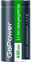Аккумулятор GoPower 00-00024375