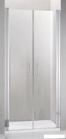 Душевая дверь Adema Nap Duo-90 (матовое стекло)