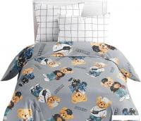 Постельное белье Василек Тинейджер 24 500309/1