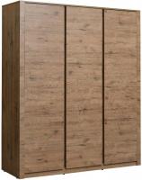 Шкаф распашной Рэйгрупп Bromo 01.03 ДДД 166x198x55 ШР 01.03 VL (дуб веллингтон)