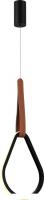 Подвесная люстра ST Luce SL6131.413.12