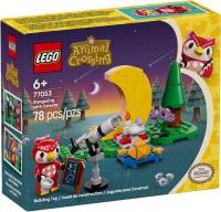 Конструктор LEGO Animal Crossing 77053 Наблюдение за звездами с Селестой