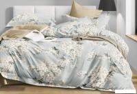 Постельное белье Реноме 2сп Оливковая коллекция УУ 6700 (поплин)
