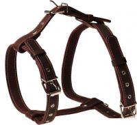 Шлея Humpo Чип 142035