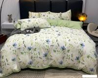 Постельное белье Реноме Евро Оливковая коллекция УУ 6786 (поплин)