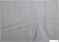 Ковер для жилой комнаты AksHome Cashmere C-182 (160x230)