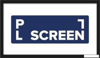 Проекционный экран PL Vista FXB-9120-23