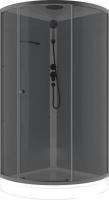 Душевая кабина Domani-Spa Simple 100x100 DS01Sm110LGrT00.Gt-V1.2-Black