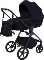 Универсальная коляска Rant Teo 2в1 RA120 (черный)