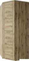 Шкаф распашной Anrex Doorset угловой 1DG (дуб наварра)