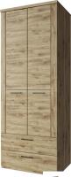Шкаф распашной Anrex Doorset 2DG2S (дуб наварра)