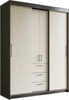 Шкаф-купе Евва Престиж Без зеркал ПР-4D2Z3S (венге/дуб шамони светлый)