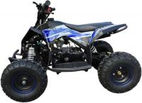 Квадроцикл Motax Gekkon 90 (синий/черный)