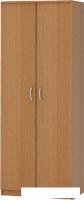 Шкаф распашной Поставымебель ШД-01
