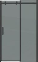 Душевая дверь Grossman Classic 100x195 100.K33.04.100.21.10 (черный матовый/стекло тонированное)